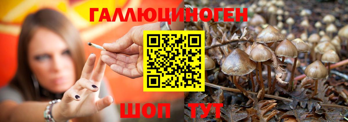Всеволожск  Галлюциногенные грибы MAGIC MUSHROOMS  где продают   Вход с VPN 
